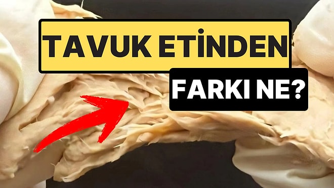 Laboratuvarda Üretilen “Mantar Eti” Tavuk Etine Güçlü Bir Alternatif Olabilir