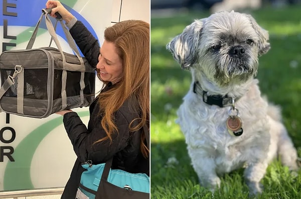 Köpeği Oliver’ın ölümünün ardından Johnson, ne yemek yiyebiliyor ne de çalışabiliyordu.