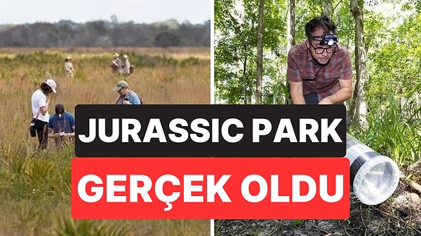 Sivrisinekler Hayvanların DNA’sını Ortaya Çıkardı