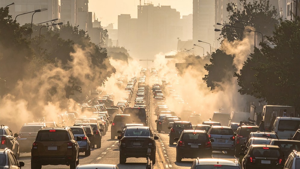 Impacts of Air Pollution on the Human Body