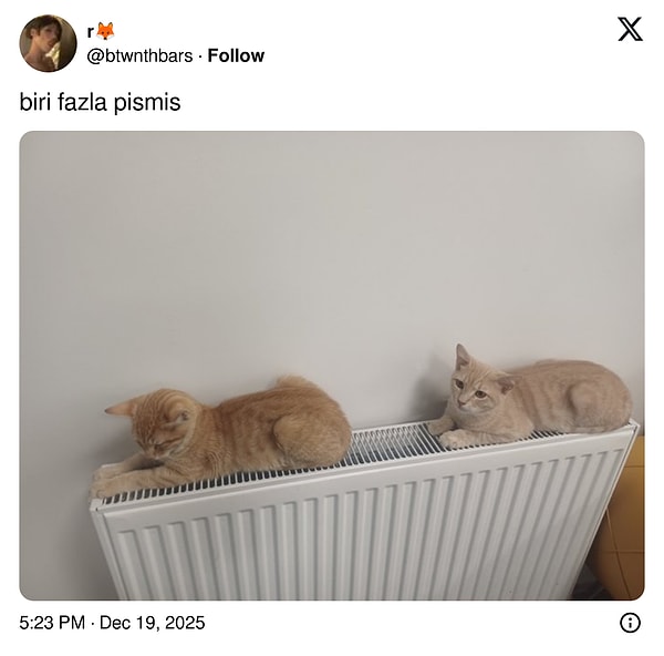 Diğerinin de daha zamanı var.