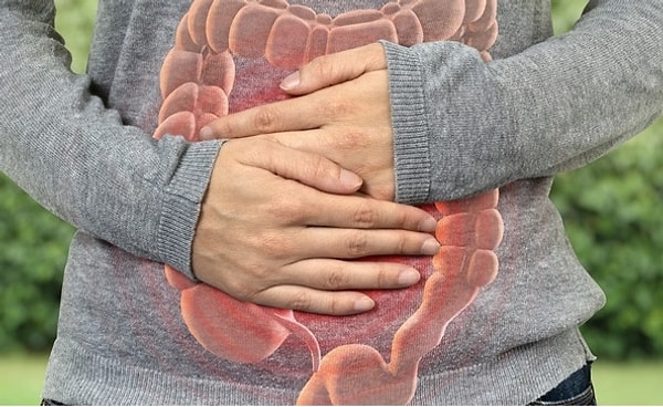 One of the most striking findings of the research was the positive influence that happy marriages exert on certain biological processes originating from the gut.