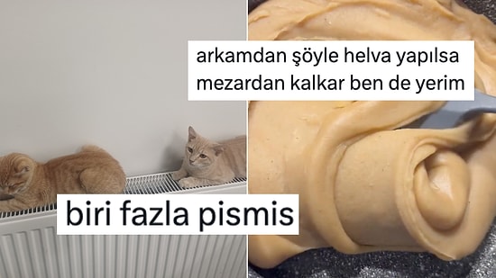 Yemeklerle İlgili Paylaşımlarıyla Hepimizi Mizaha Doyuran Kişilerden Haftanın En Komik Yemek Tweetleri