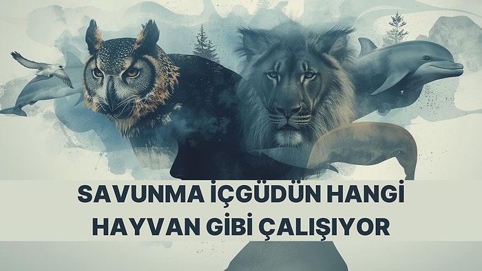 Kaçma/Savaşma Tepkine Göre Sen Hangi Hayvana Dönüşüyorsun?