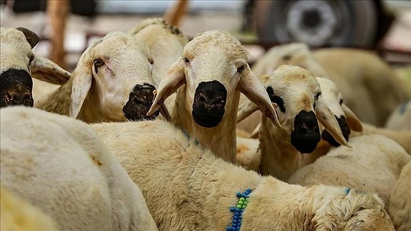 2026 Kurban Bayramı Ne Zaman?