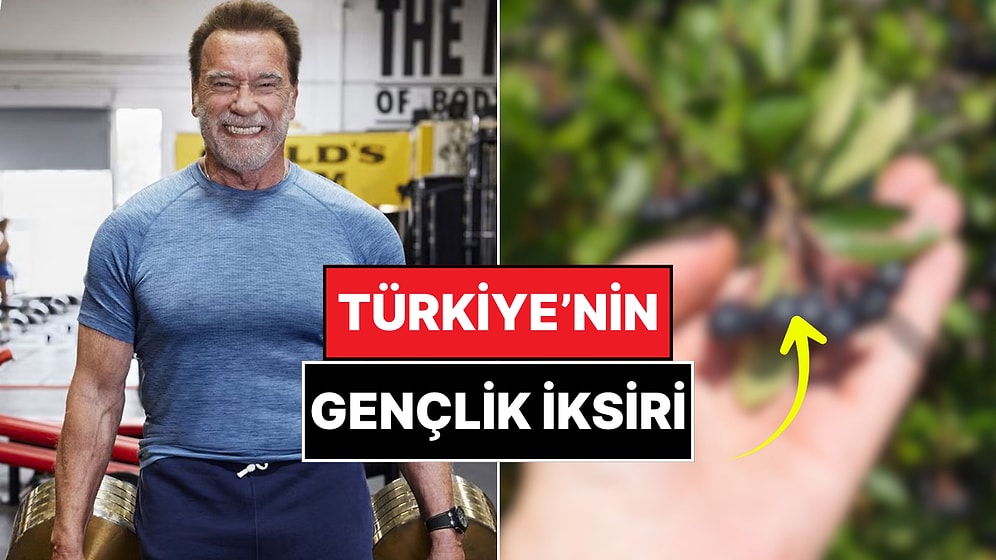 Marketten Onu Almadan Çıkmayın: Bu Süper Meyvenin Yaşlanma Karşıtı Etkileri Kanıtlandı