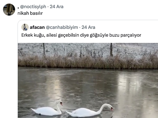 Hanımcılıkta zirve!