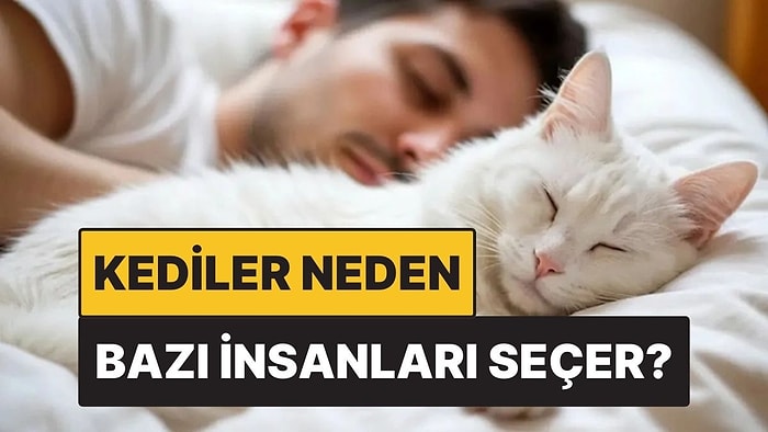 Kediler Neden Bazı İnsanları Özellikle Seçer?