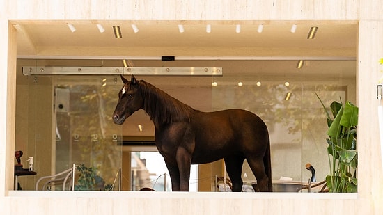 Hollywood Animatroniği İstanbul’da: 25 Milyon TL’lik “Kahve” Mağaza Deneyimini Yeniden Tanımlıyor