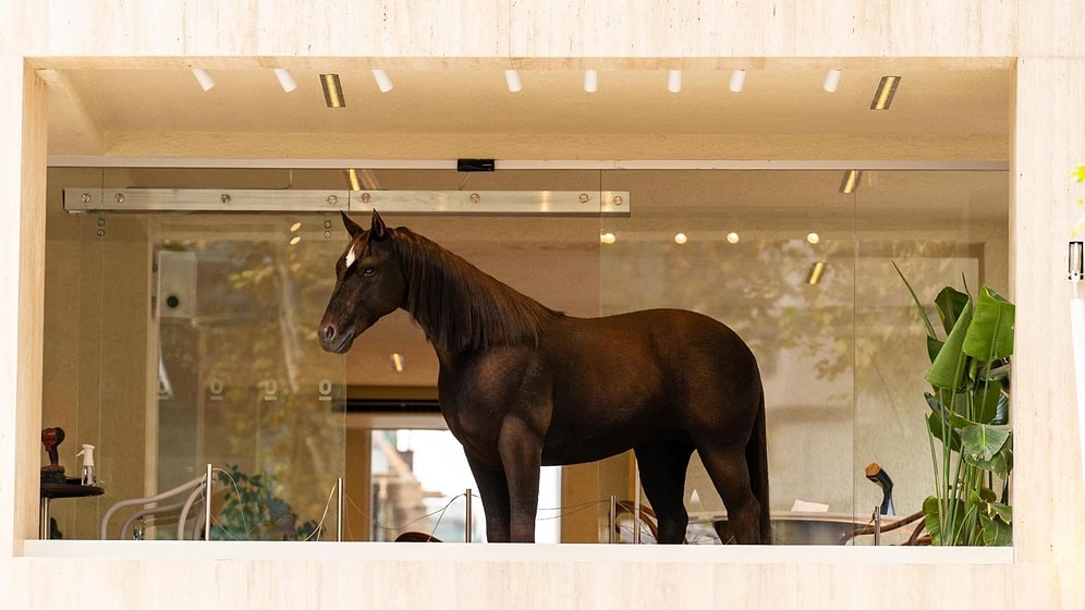 Hollywood Animatroniği İstanbul’da: 25 Milyon TL’lik “Kahve” Mağaza Deneyimini Yeniden Tanımlıyor