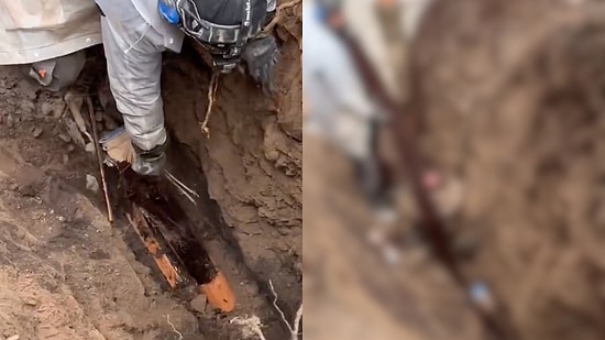 Hair Extracted from Blocked Plumbing Causes a Stir on Social Media