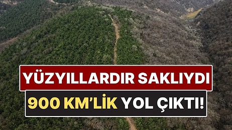 Kumların Altında Yüzyıllarca Saklı Kalmıştı: 900 Kilometrelik Antik Yol Ortaya Çıktı