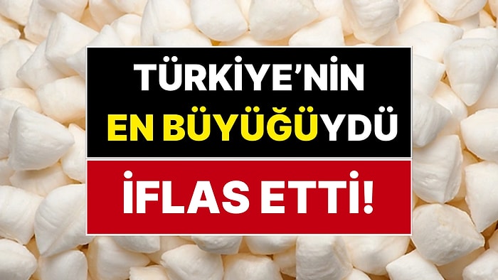 'Mevlana Şekeri' Üretiyordu: Yarım Yüzyıllık Türk Gıda Devi İflas Etti