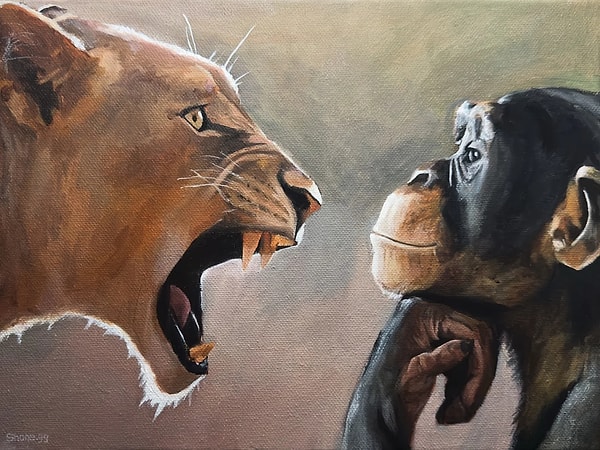 Çünkü 2025’te netleşti ki, algoritmalar için en verimli duygu öfkeydi.