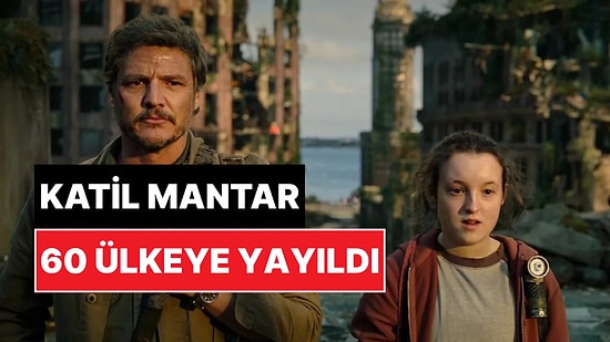 "Pandemi Riski": İstilacı Mantar 60'dan Fazla Ülkeye Yayıldı