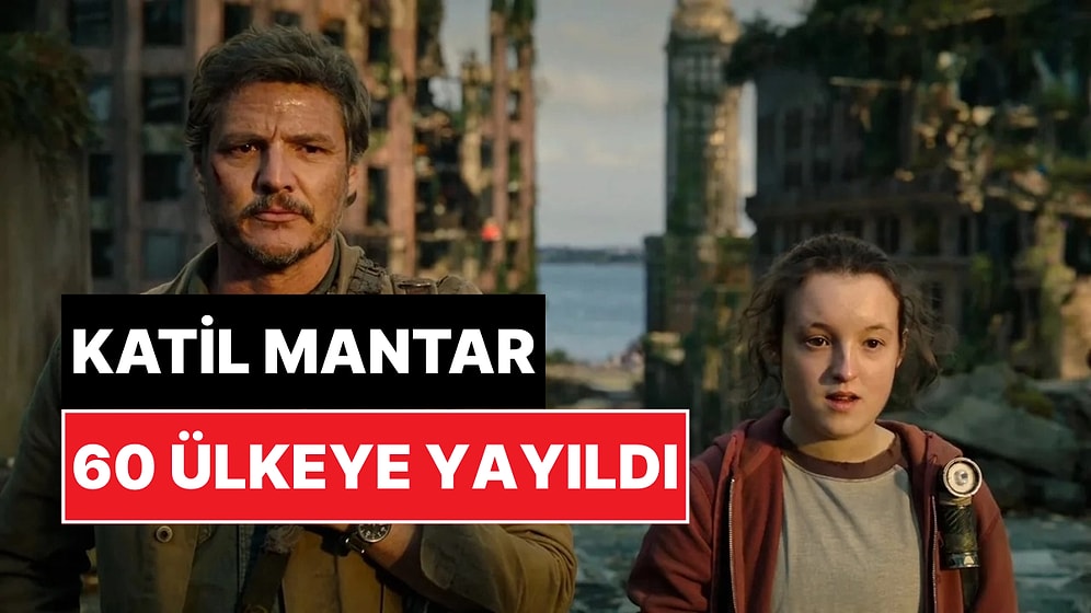 "Pandemi Riski": İstilacı Mantar 60'dan Fazla Ülkeye Yayıldı