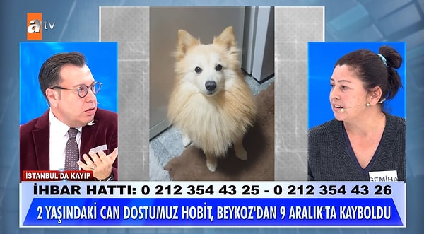 9 Aralık’ta Beykoz’da kaybolan Hobit’ten o günden bu yana haber alınamıyor.