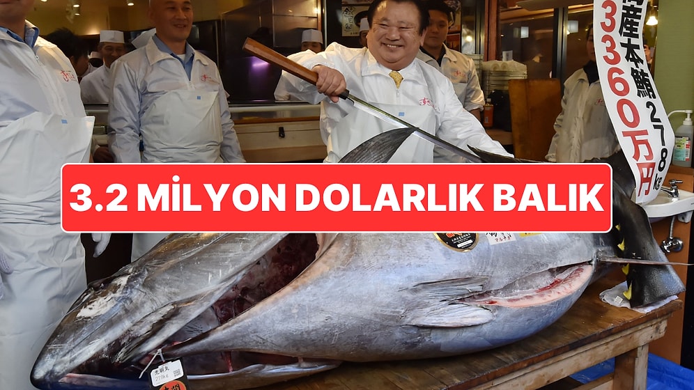 Japonya’nın Geleneksel Yeni Yıl Balık Mezatında 3,2 Milyon Dolara Mavi Yüzgeçli Orkinos Balığı Satıldı