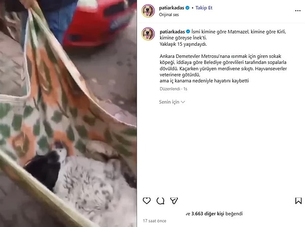 Bir diğer sosyal medya hesabı ise şunları söyledi: