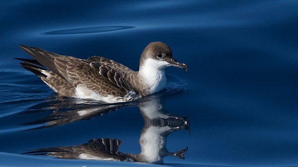 "Yaşadığımız heyecan bambaşka."