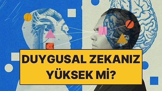 Duygusal Zekası Yüksek İnsanları Ayırt Etmenin 5 Yolu