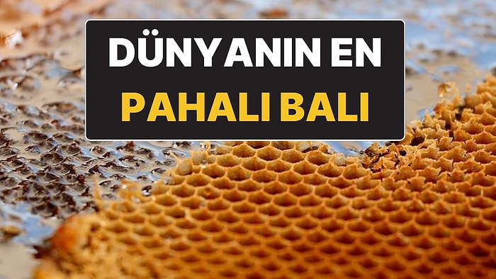 Bir Kilosu Yaklaşık 500 Bin Liraya Satılan Bal Guinness Rekoru Kırdı