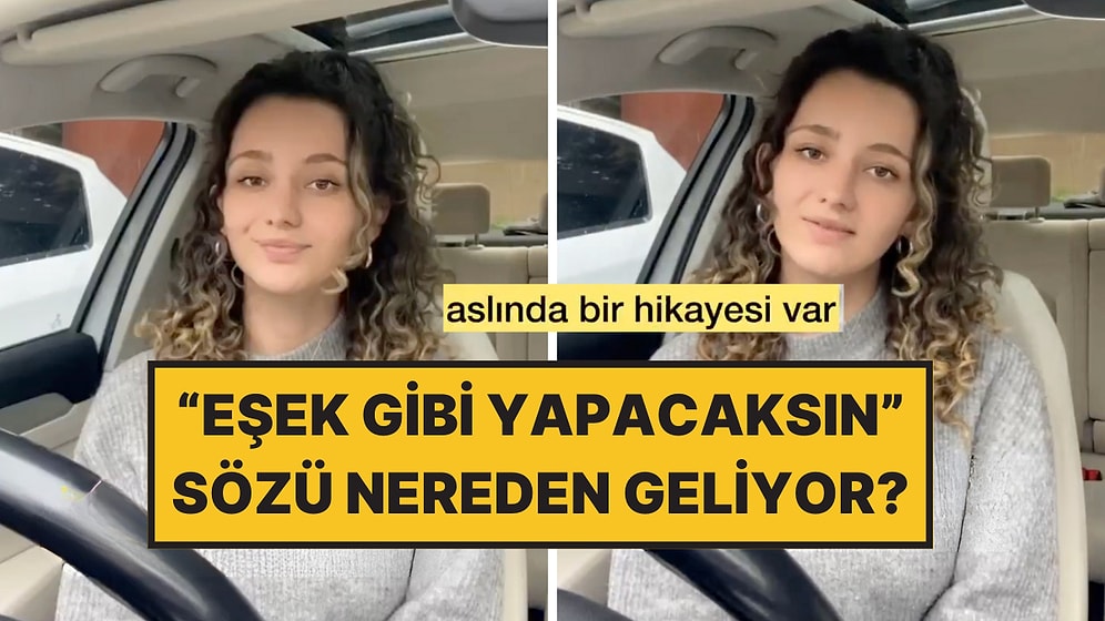 Bir Psikolog Anlattı: “Eşek Gibi Yapacaksın” Sözünün Asıl Anlamı Şaşırttı