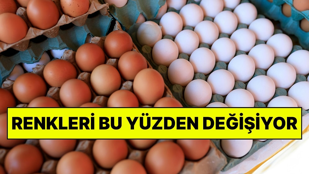 Beyaz ve Kahverengi Yumurta Arasındaki Fark Nedir? Tavuğa Göre Değişiyor!