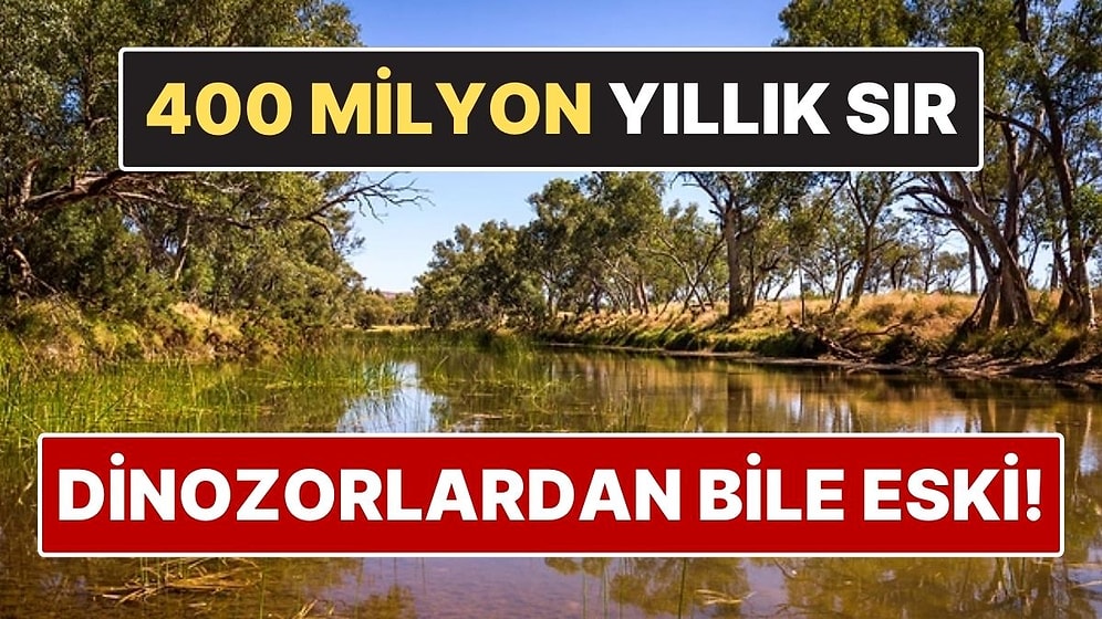 Dinozorlardan Bile Eski Nehir! Bilim İnsanlarını Şaşırtan 400 Milyon Yıllık Sır