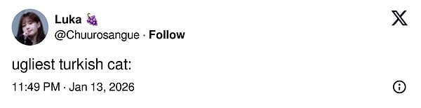 "En çirkin Türk kedisi"