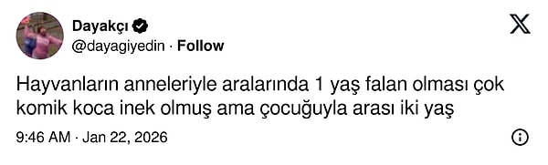 İnsan hayret ediyor...