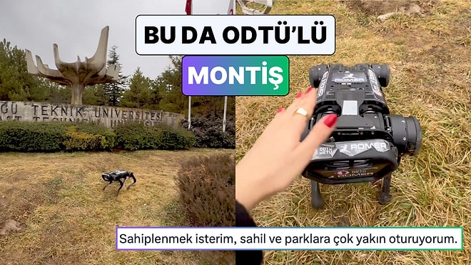 Son Günlerin Viral Köpek Sevme Videosuna ODTÜ Dokunuşu:" Bu da Bizim Mottişimiz"