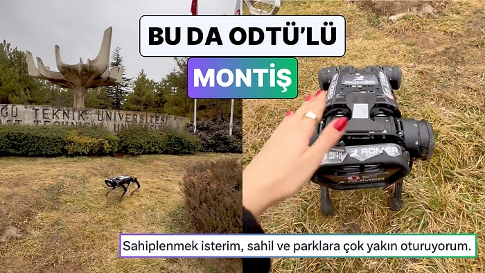 Son Günlerin Viral Köpek Sevme Videosuna ODTÜ Dokunuşu:" Bu da Bizim Mottişimiz"