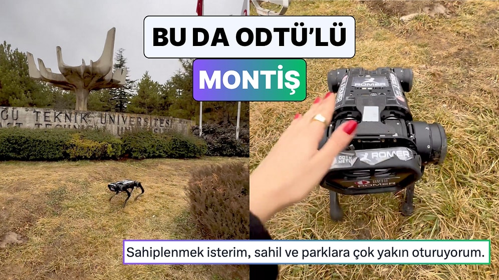 Son Günlerin Viral Köpek Sevme Videosuna ODTÜ Dokunuşu:" Bu da Bizim Mottişimiz"
