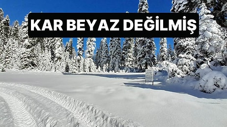 Bilim İnsanları Açıkladı: "Kar Aslında Beyaz Değil"