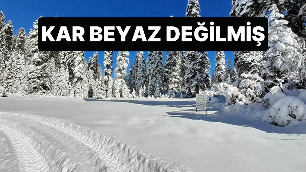 Bilim İnsanları Açıkladı: "Kar Aslında Beyaz Değil"