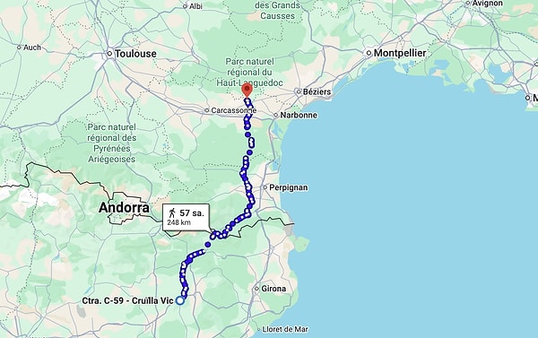 Filou ailesine kavuşmak için dağ bayır demeden günlerce yürüdü.