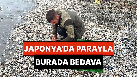 Büyük Fırtına Sonrası Binlercesi Sahile Vurdu: Balıkçılar Denizin Hazinesini Bedavaya Tek Tek Topladı!