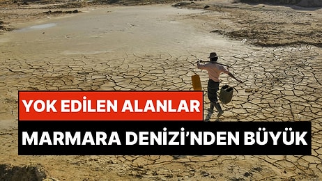 Türkiye’de 60 Yılda Marmara Denizi'nden Büyük Sulak Alanlar Yok Edildi: 39 Trilyon Dolarlık Alan Risk Altında