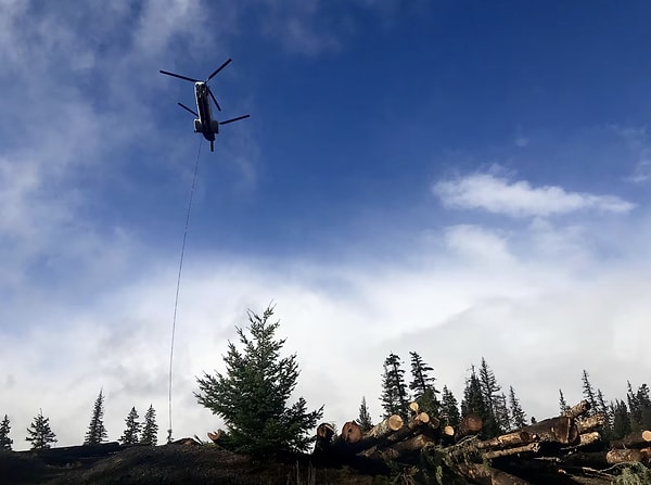 Doğal süreçler helikopterlerle yeniden başlatılıyor.