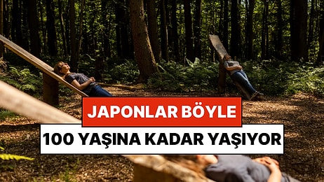 Ne Varsa Japonlarda Var: Tüm Dünyaya Yayılan 'Orman Banyosu' Nedir?