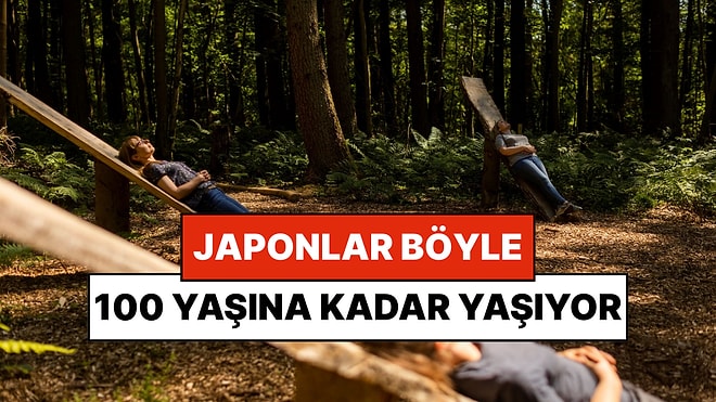 Ne Varsa Japonlarda Var: Tüm Dünyaya Yayılan 'Orman Banyosu' Nedir?