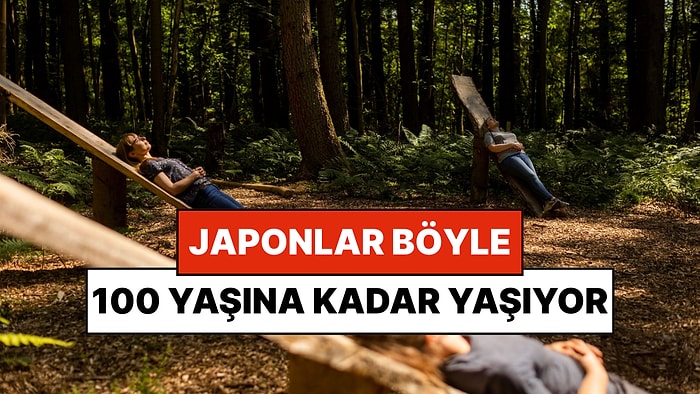 Ne Varsa Japonlarda Var: Tüm Dünyaya Yayılan 'Orman Banyosu' Nedir?