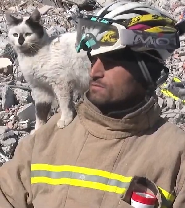 6 Şubat depremlerinin simge isimlerinden olan itfaiye eri Ali Çakas ile kurtardığı kedi Enkaz, yıllar sonra yeniden görüntülendi.
