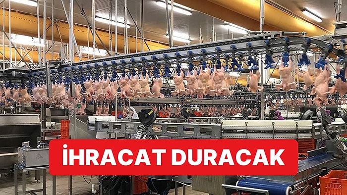 Ticaret Bakanlığı'ndan Flaş Karar: Yarından İtibaren Tavuk İhracatı Duruyor