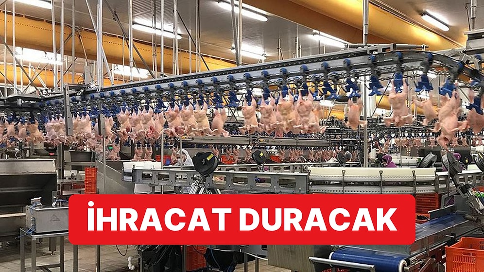 Ticaret Bakanlığı'ndan Flaş Karar: Yarından İtibaren Tavuk İhracatı Duruyor