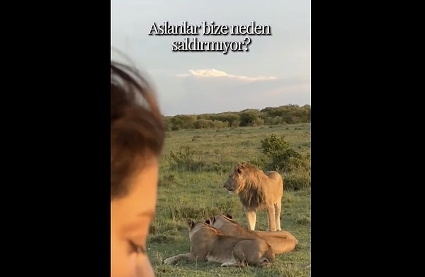 Safari deneyimi yaşayan kadın rehberinin bu konu hakkında anlattıklarını aktardı;