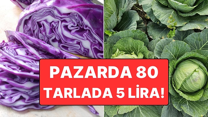 Pazarda Tanesi 80, Tarlada 5 Lira: Hepsi Çiftçinin Elinde Kaldı!