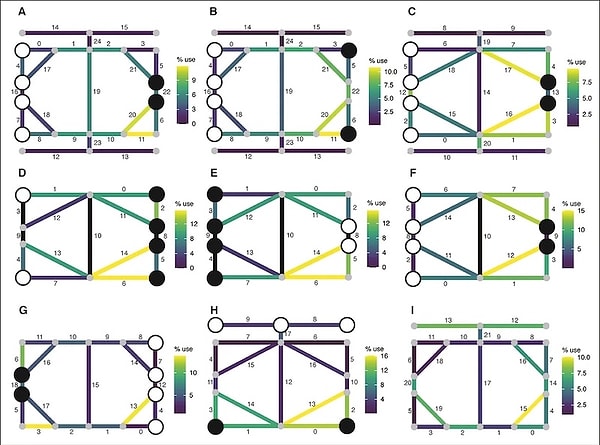 Çalışmanın başyazarı Walter Crist, yüzeydeki düzensiz aşınmanın rastlantı olmadığını vurguluyor.