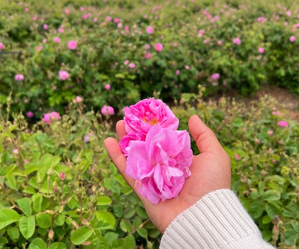 Eskiler boşuna kullanmazdı.